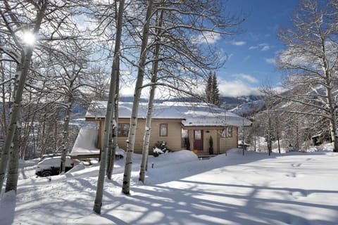 Lemond Place Home House in Snowmass Village