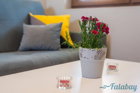 Domki Falabay House in Pomeranian Voivodeship