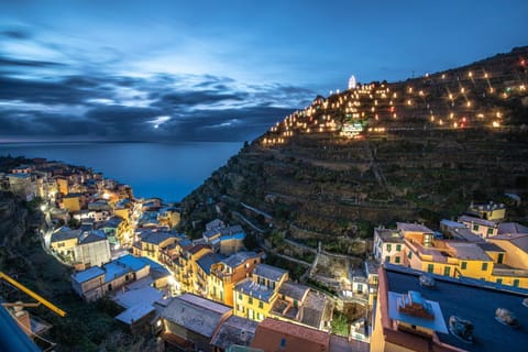 Cà du Nilo Apartment in Manarola