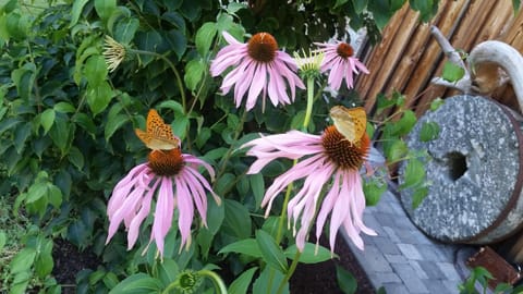 Ferienwohnung Bettina Apartment in Carinthia, Austria