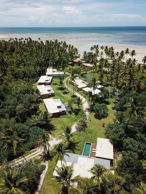 Bird's eye view, Beach, Sea view