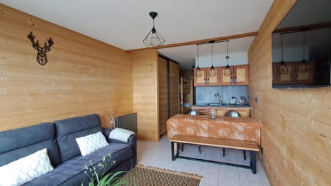 appartement montagne- le petit Chaillol Apartment in Provence-Alpes-Côte d'Azur