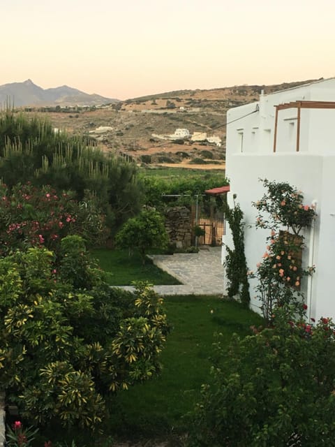 Garden, Garden, Garden view