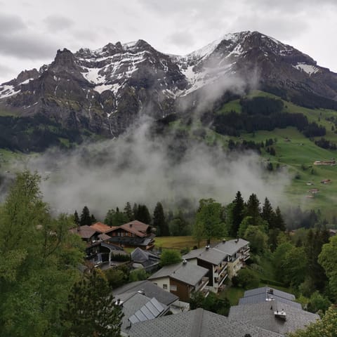 FeWo Fernsicht Crystal Apartment in Adelboden