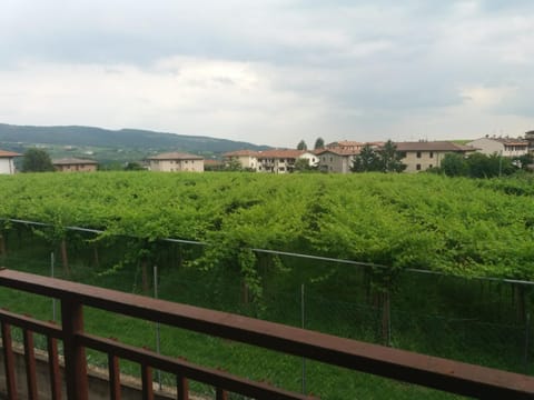 Balcony/Terrace, On site, Landmark view