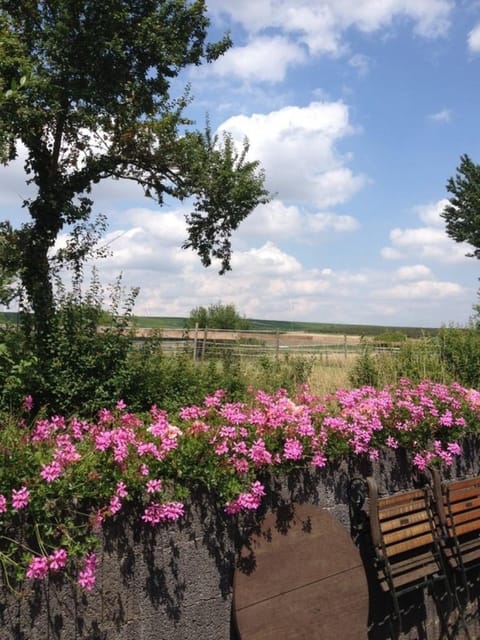 Ferienwohnung Am Backhausgarten Apartment in Mainz-Bingen