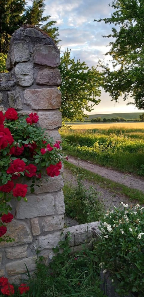 Ferienwohnung Am Backhausgarten Apartment in Mainz-Bingen