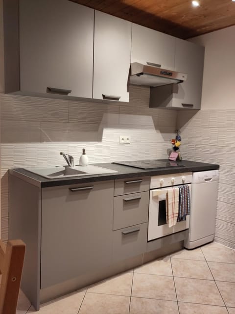 Kitchen or kitchenette, dishwasher, pet friendly, stove