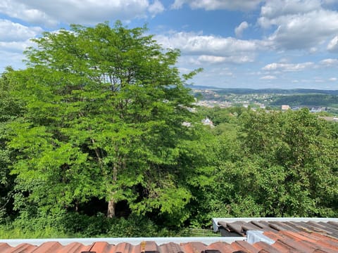 Six - ONE SEVEN Apartment in Koblenz