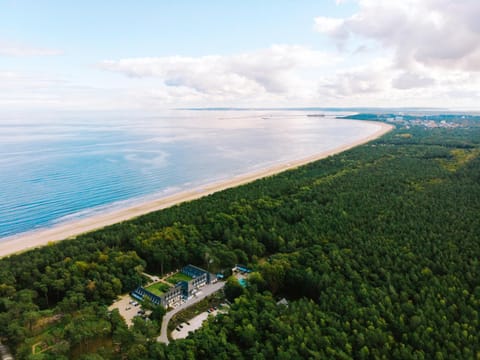 Natural landscape, Bird's eye view, Beach