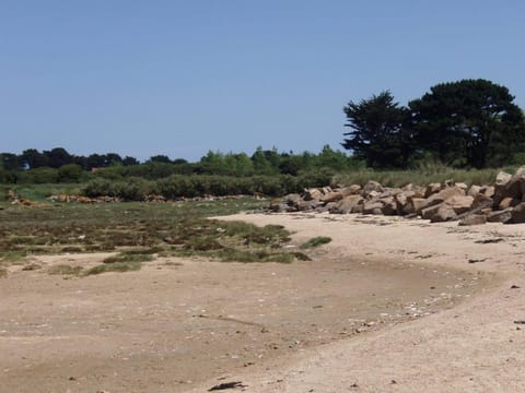 Maison 3 étoiles avec jardin clos, à 800 m de la plage, proche port de Saint-Sauveur, Île-Grande - FR-1-542-22 House in Brittany