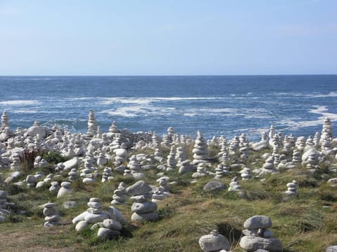 Maison 3 étoiles avec jardin clos, à 800 m de la plage, proche port de Saint-Sauveur, Île-Grande - FR-1-542-22 House in Brittany