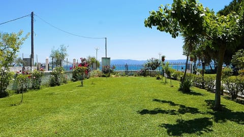 Amarynthos Beachfront Vacation House with garden House in Euboea