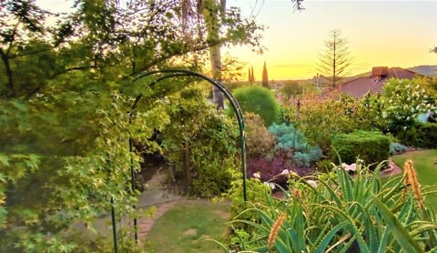 Garden, Sunset