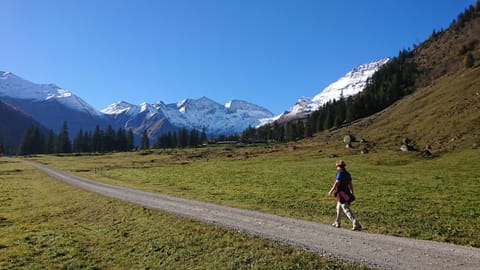 Hiking