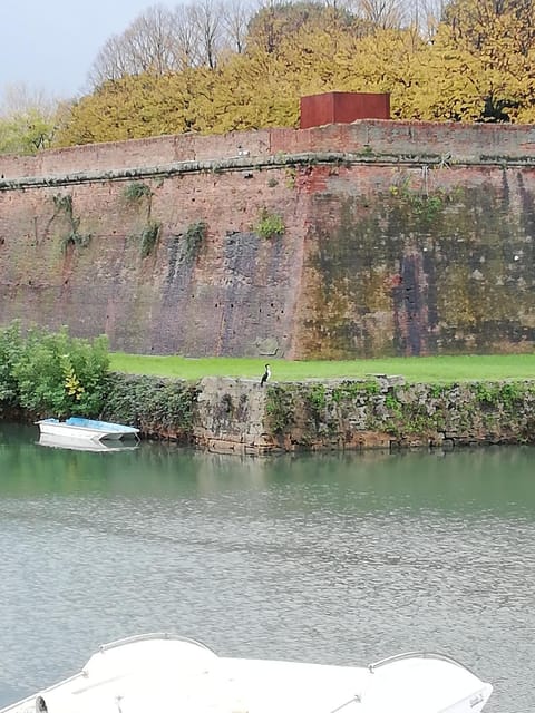 Nearby landmark, Animals, City view