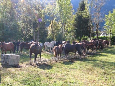 Marioutat Casa in Arrens-Marsous