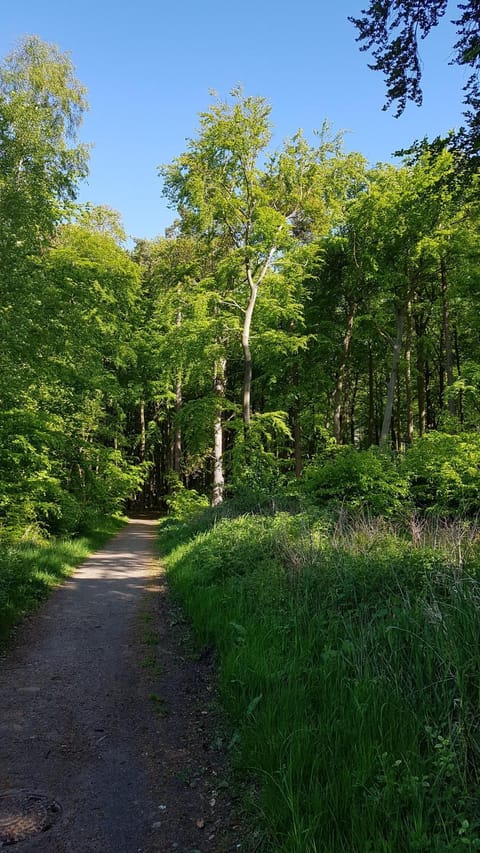 Natural landscape, Hiking