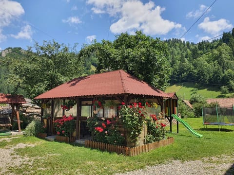 Garden, Area and facilities