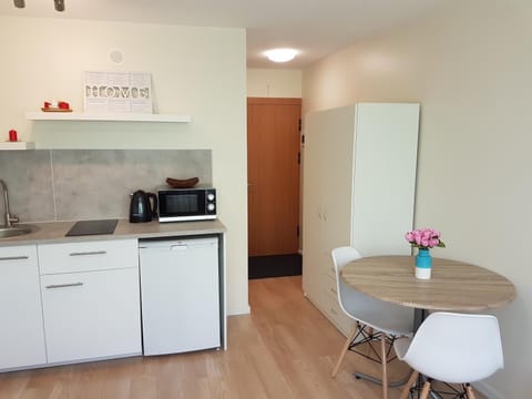 Klaipeda Center Studio Apartment in Klaipėda