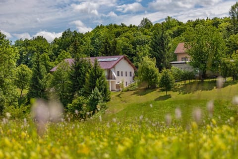 Property building, Day, Natural landscape, Garden view