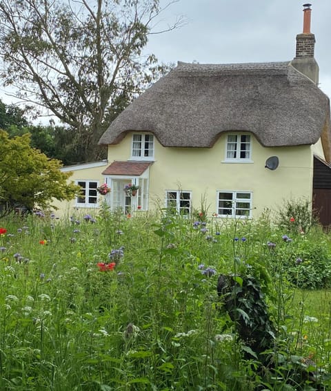 Property building, Facade/entrance, Day, Natural landscape, Garden, Pets, Garden view, Garden view