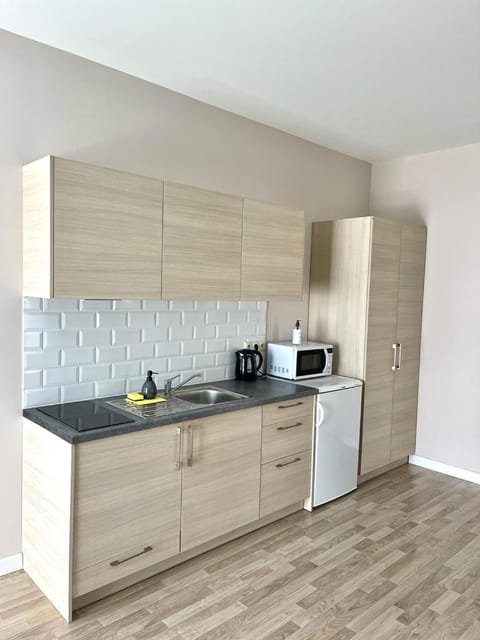 Apartamentai Klaipėda-studijos tipo butukai Apartment in Klaipėda