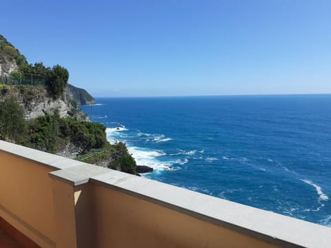 Natural landscape, Balcony/Terrace, Sea view