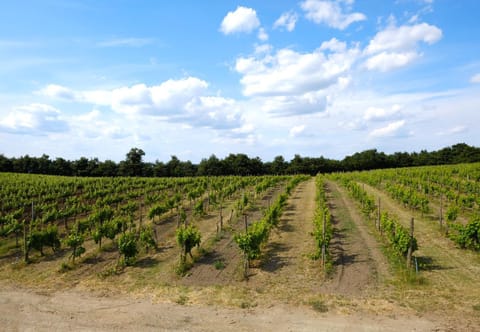 Property building, Natural landscape
