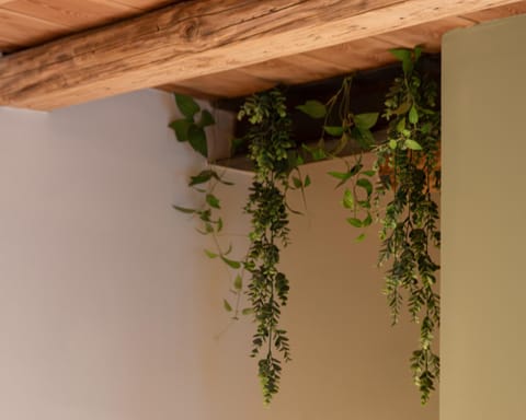 BACARìA BED&BREAKFAST Bed and Breakfast in Bassano del Grappa