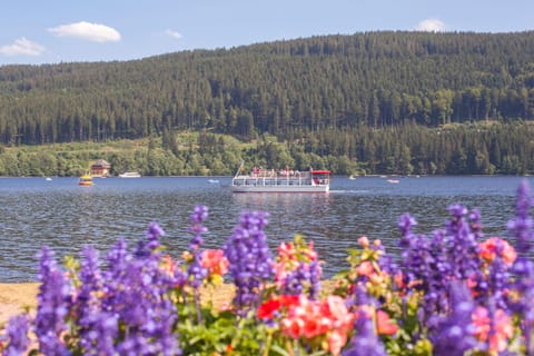 Drei Tannen - Wohnung 07 - Apartmenthaus, Titisee, Feldberg Apartment in Titisee-Neustadt