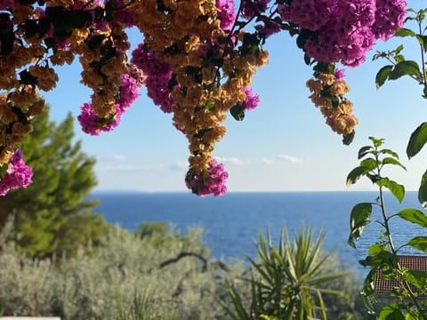 Casa Fortuna Apartment in Dubrovnik-Neretva County