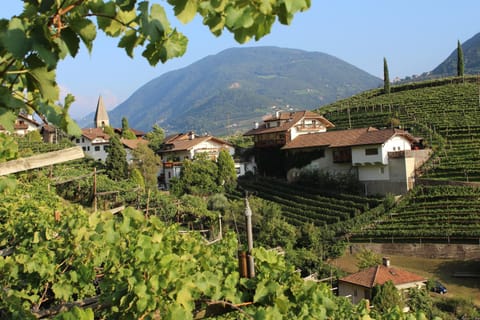 Facade/entrance, Natural landscape, Summer, Garden, Garden, View (from property/room), On site, Mountain view