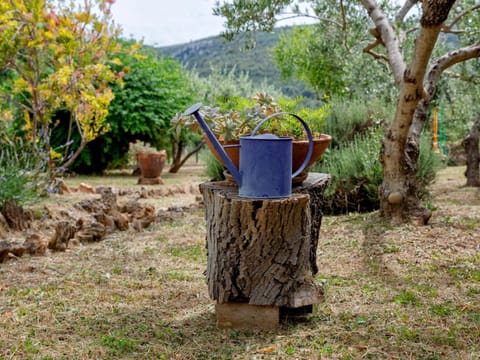 Natural landscape, Garden