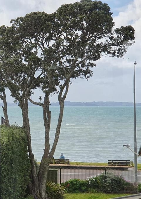 Aqua On The Beach Apartment in Auckland