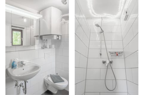 Shower, Toilet, Bathroom, Photo of the whole room