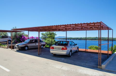 On site, Area and facilities