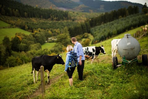 Hiking, Animals