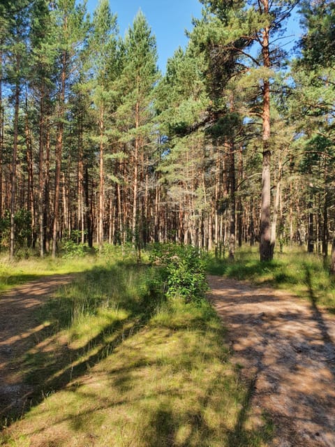 Berzelis Apartment in Palanga
