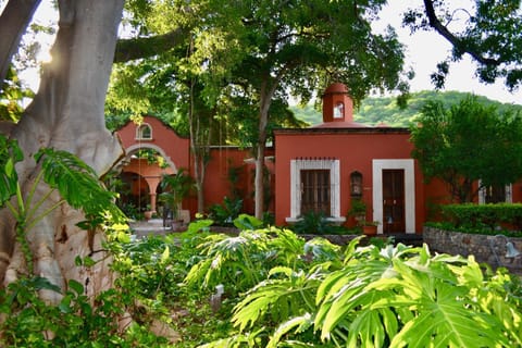 Hacienda de los Santos Hotel in Alamos
