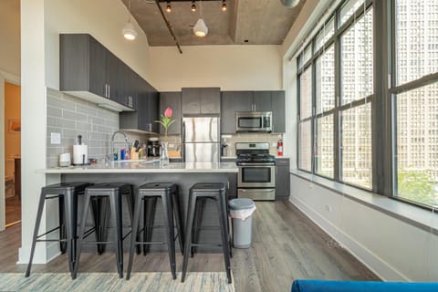 Bright 2BR Luxury Corner Suite with Optional Parking Sleeps 6 guests Near McCormick Place and Soldier Field Apartment in South Loop