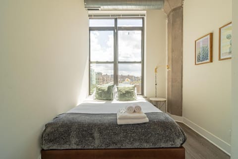 Bright 2BR Luxury Corner Suite with Optional Parking Sleeps 6 guests Near McCormick Place and Soldier Field Apartment in South Loop