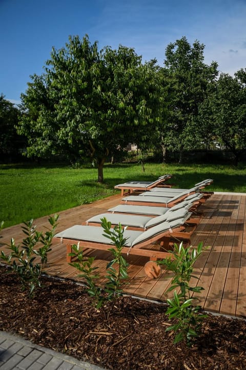 Patio, Natural landscape, Garden, Facility for disabled guests