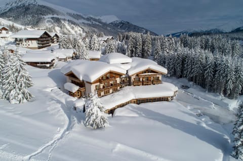 Property building, Bird's eye view, Winter, Garden view