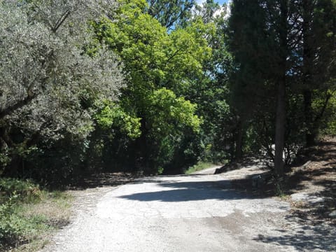 Property building, Natural landscape