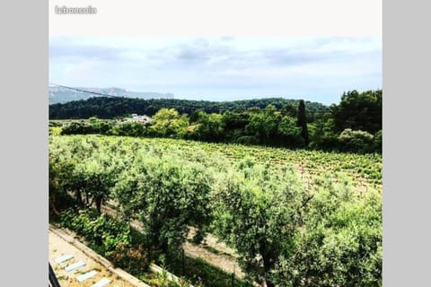 Studio dans les vignes de cassis Wohnung in Cassis