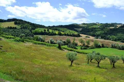 Agriturismo Marano Aufenthalt auf dem Bauernhof in Umbria