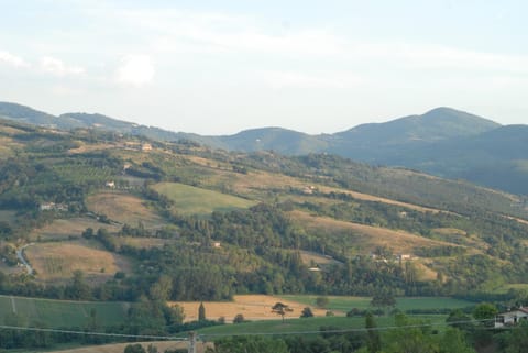 Maridiana Alpaca Country House Farm Stay in Umbria