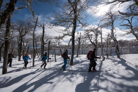 Skiing