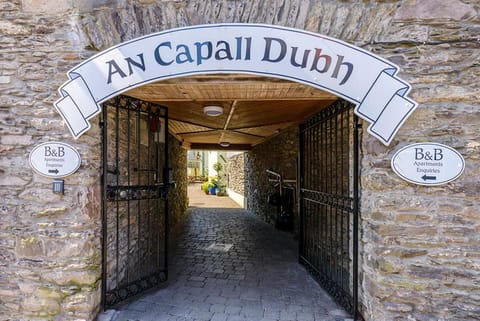 The Arch An Capall Dubh Dingle Apartment in Dingle